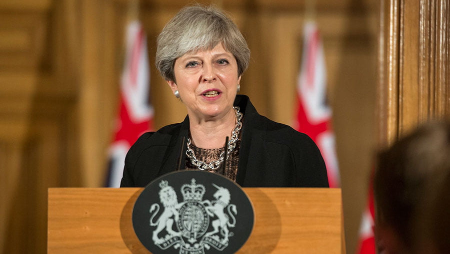 What are Theresa Mays plans for Expats?