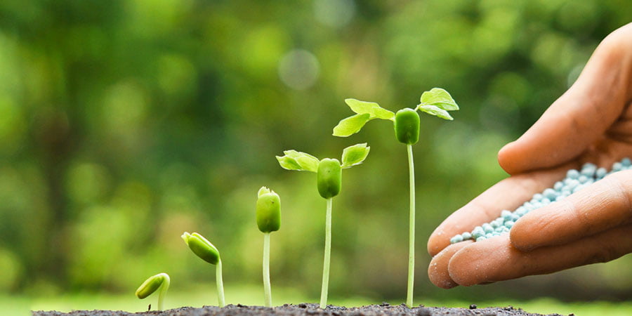 The Magic of Making Money Grow in Your Pension